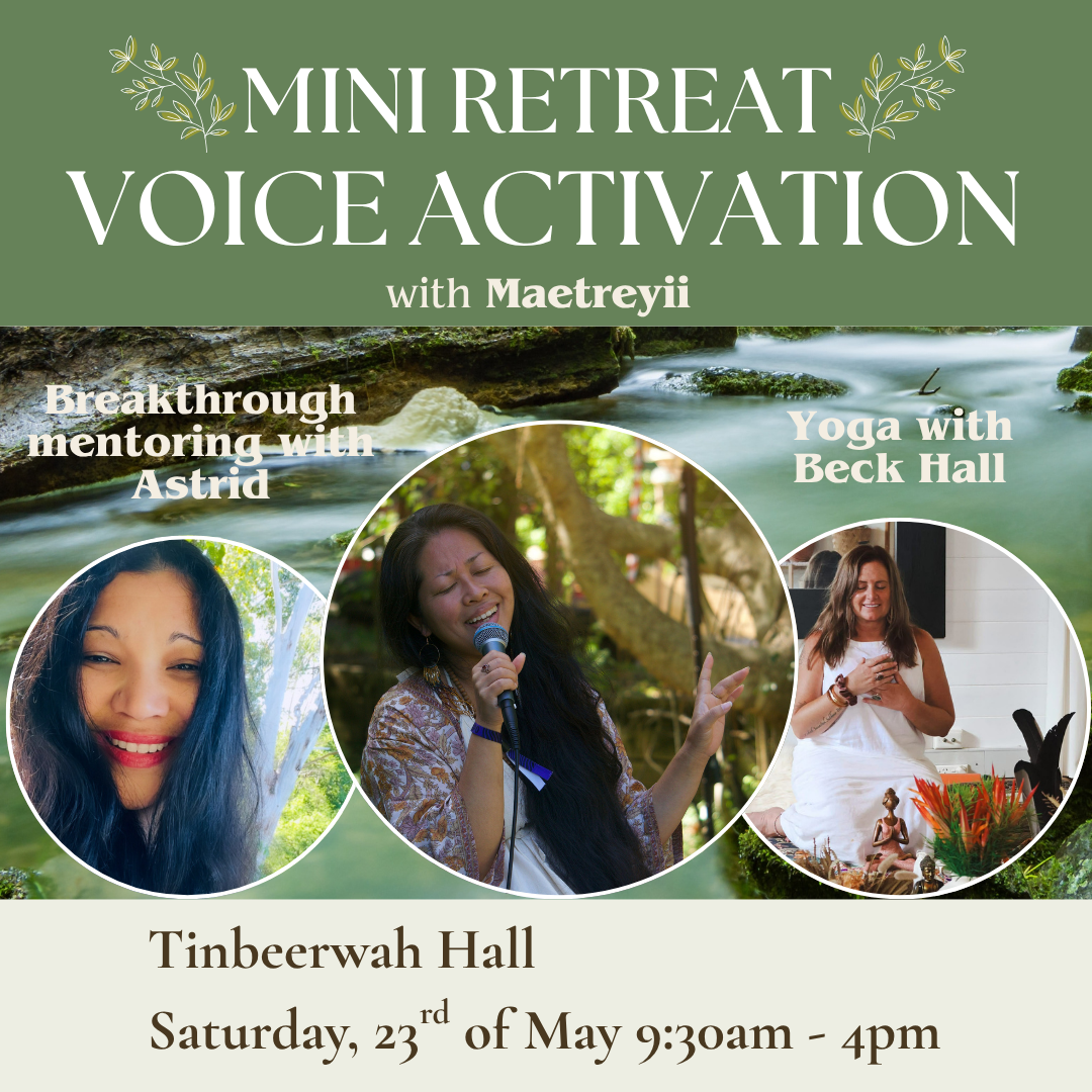 Mini Retreat Voice Activation